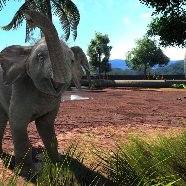 Zoo tycoon 3. Zoo Tycoon Ultimate animal collection. Зоо тукон ультимейт коллекшн.